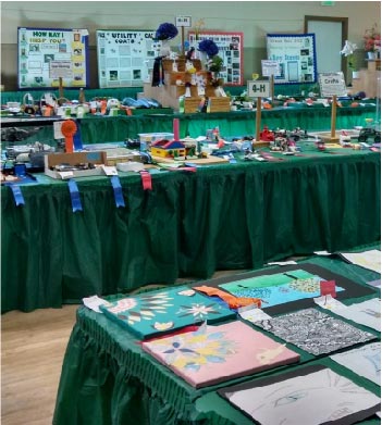 arts and crafts exhibits at the fair