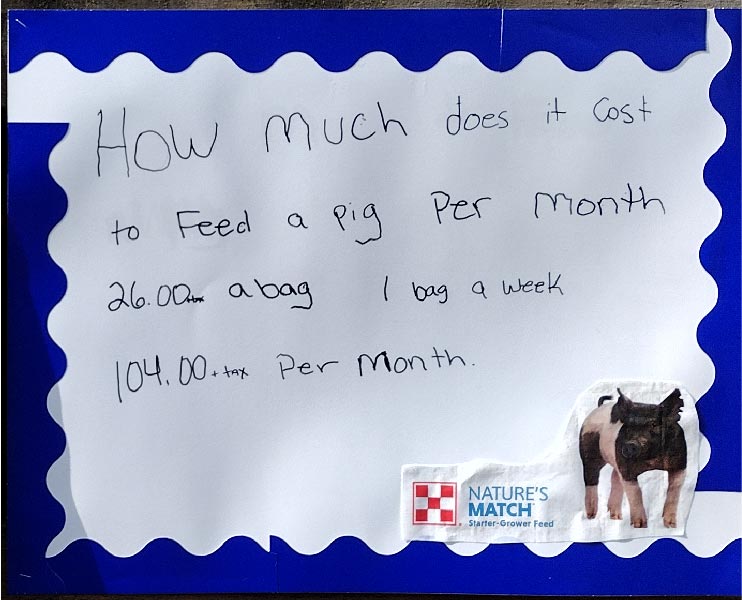 cost of feeding a pig poster