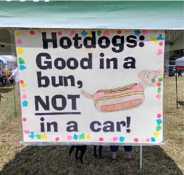 hotdogs are good in a bun but not in a car poster